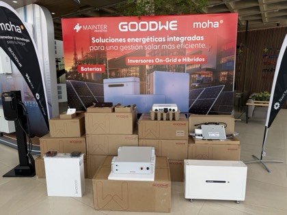 GoodWe+MAINTER
